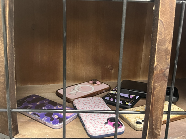 Cell Phone Bans: What do the Students&nbsp;Think?